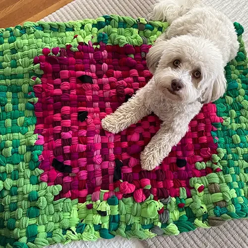 Auggie-Bed-Watermelon-500x500